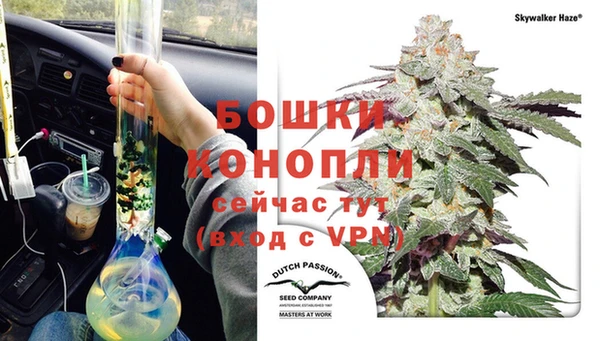 a pvp Лиски