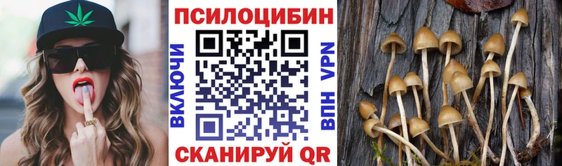 продажа наркотиков Лакинск Псилоцибиновые грибы Psilocybine cubensis